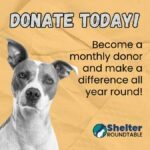 become monthly donor