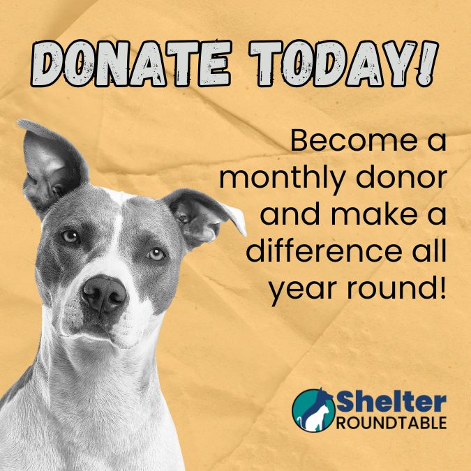 become monthly donor become monthly donor