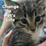 change a pet’s life day