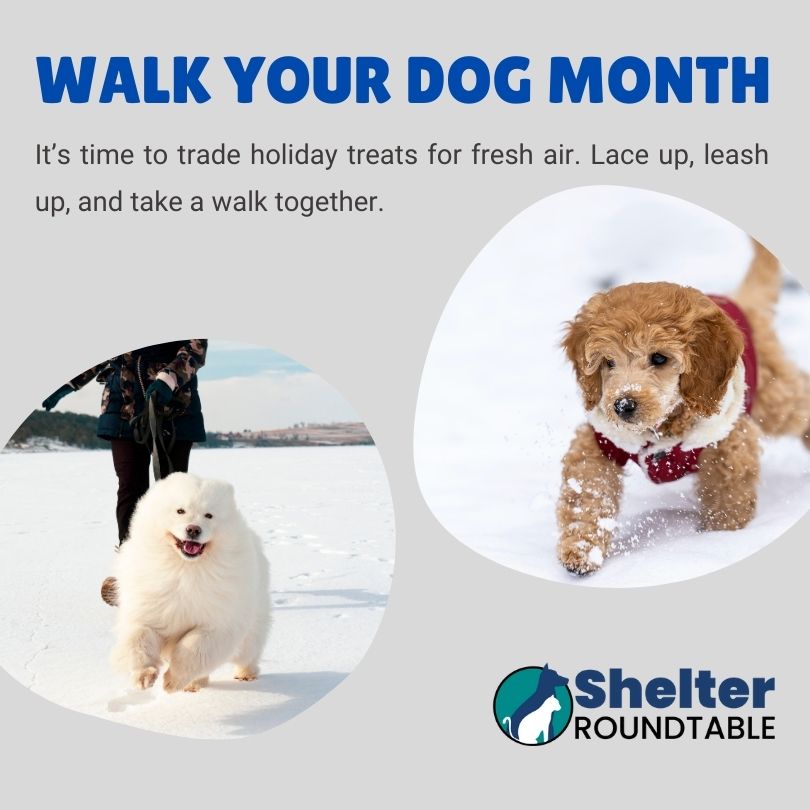 walk your dog month jan