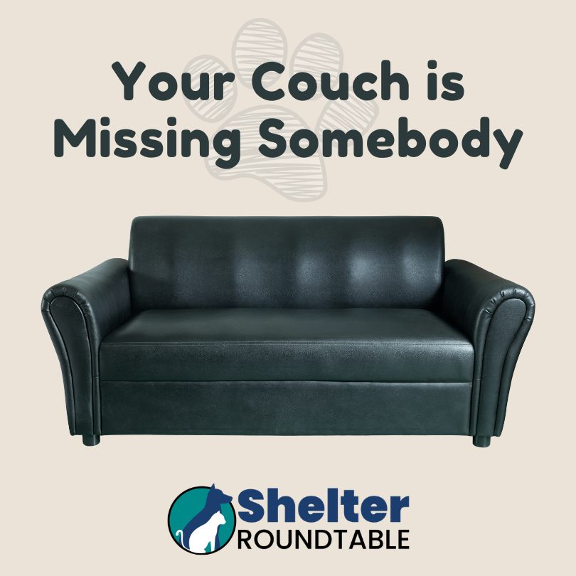 your couch is missing your couch is missing